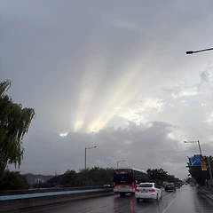 헤어질 결심 썸네일