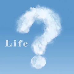 다음 스텝 (Next Step) 썸네일