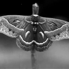 하나의 문장, 하나의 기울기 썸네일