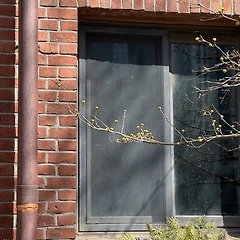 봄은 수줍게 자그마하게 썸네일