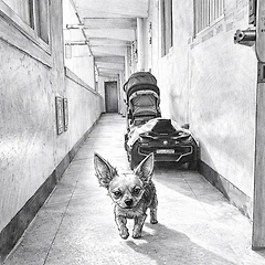 은총의 자리 3 썸네일