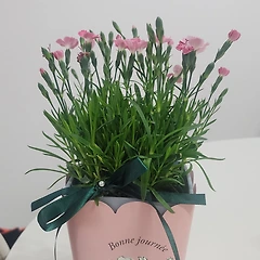 여유은행이 있다면 | 저축해둘 여유 썸네일