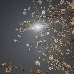 삶을 선택한다는 점은 썸네일