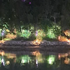 식물들의 수다시간 썸네일