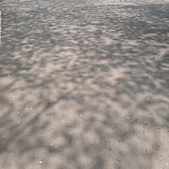 들키면 어때요 썸네일