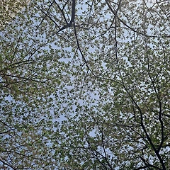 다이소가 잘 되는 이유 썸네일