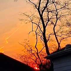 스쳐 지나가는 노다지 썸네일