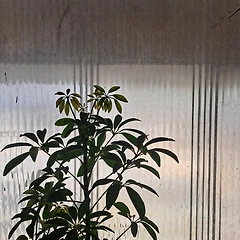 스스로 화장실 꾸미기 썸네일