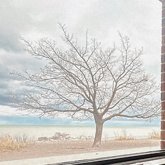 100일 축하해 썸네일