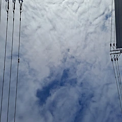 고르기 위해 골랐음직한 썸네일