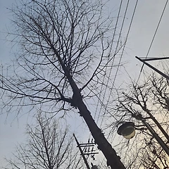 무를 말렸으니 오죽 하랴 썸네일