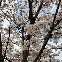 텅빈 시공은 누구나 가지지 못한다 썸네일