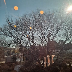 사람아 너는 먼지이니 먼지로 돌아갈 것을 생각하여라 썸네일