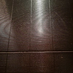 그립이 전부다 썸네일