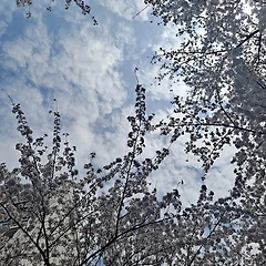 버스 안 집필실 썸네일