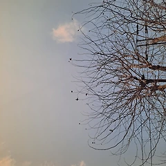 왜 계획은 황홀한가 썸네일