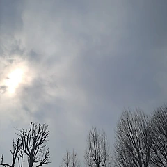 올해 들어 72번째 날 썸네일