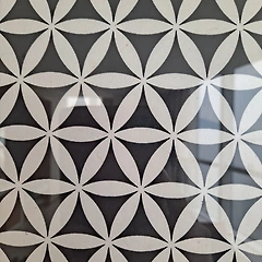 치열이 치졸하다 썸네일