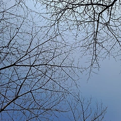 버리지 못하는 난치병 썸네일