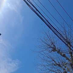 살가운 이별은 없어요 썸네일