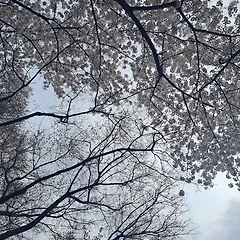 삶과 죽음 사이는 음표 썸네일