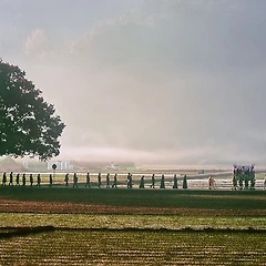 내 마음대로 되지 않은 것 썸네일