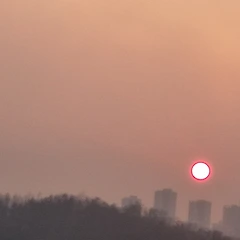 더 나은 희망이 있을 것인가? 썸네일