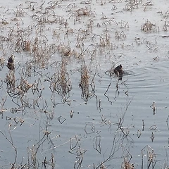 매일 거울을 보듯이  썸네일