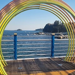 젊음과 나이듦의 차이는 무엇일까? 썸네일