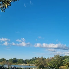 나이가 들면서 깨닫게 된 점  썸네일