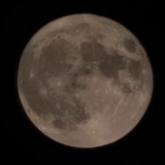 우리가 매일 경험하는 기적들  썸네일