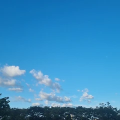 생각의 변화가 필요한 이유 썸네일