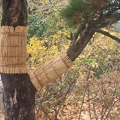 강추위가 가져온 변화들  썸네일