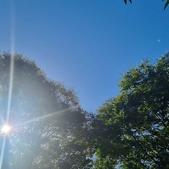 우리가 아는 것과 모르는 것은 무엇일까? 썸네일