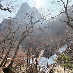 행복이란 무엇일까? 썸네일