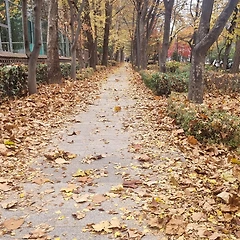 물질적 부의 한계 썸네일