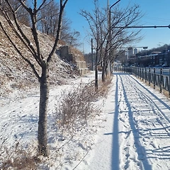 아빠의 마음  썸네일