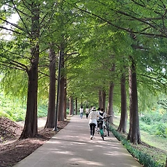 절차탁마의 삶  썸네일