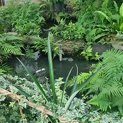 왜 이렇게 부러운 것이 많을까? 썸네일