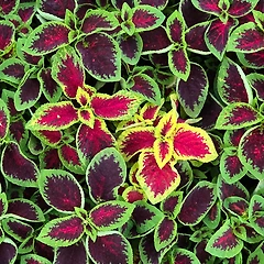 [심화 4강]  독자에서 소설가로 가기 위한 여정 썸네일