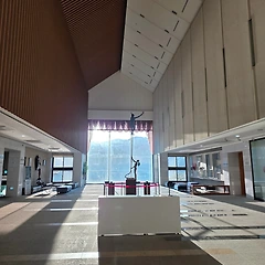 빛과 그림자 썸네일