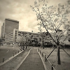 잿빛 이별 썸네일