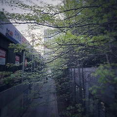 내 앞을 가로막는 것들 썸네일