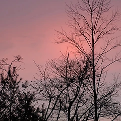 빛과 그림자 III 썸네일