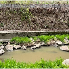 옆에 붙어서 썸네일