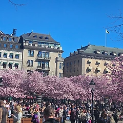 스톡홀름의 봄 썸네일