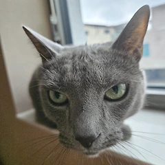 전생이야기, 별로 다가오지 않는데요? 썸네일