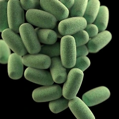 21세기 첨단의료 4부 4장 3화 썸네일