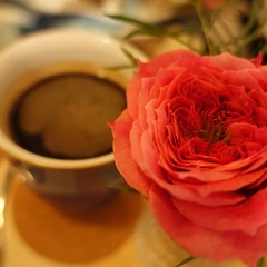 예비창업패키지 면접 후기를 이야기해 보자면... 썸네일