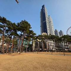 전지적 검프 시점에서 바라본 설 연휴 이모저모 썸네일